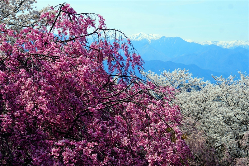 1086_弘法山古墳_長野