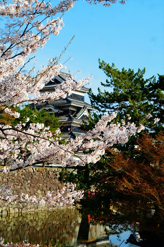 1066_松本城_長野