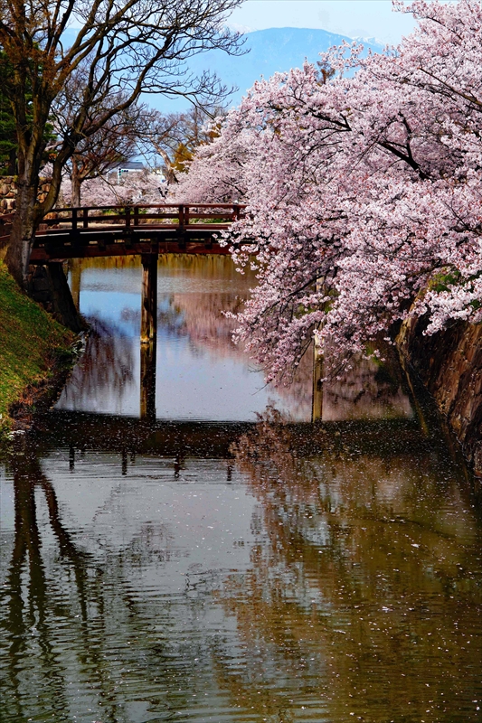 1080_松本城_長野