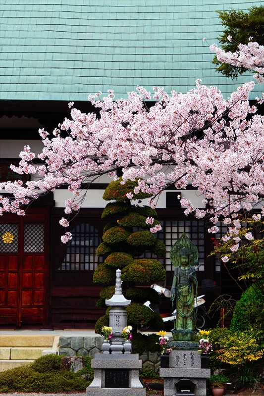 1112_正麟寺_長野