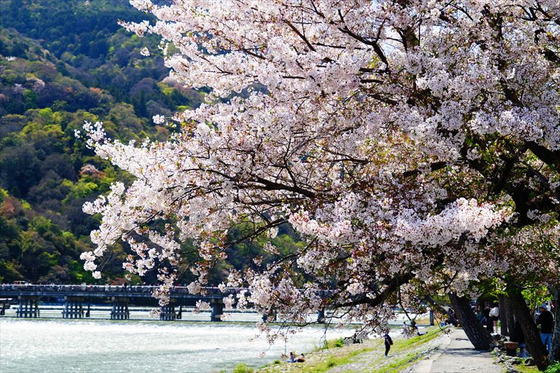 1039_洛西 渡月橋_京都