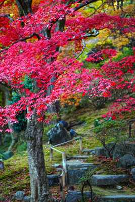 1009_高崎徳明園_群馬