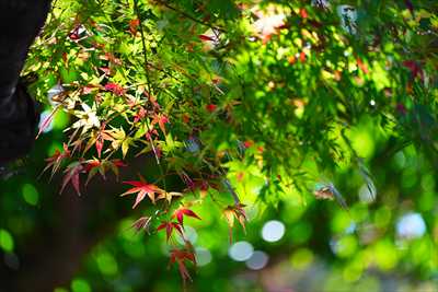 1232_横浜市新羽町_神奈川