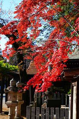 1004_川越喜多院_埼玉