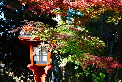 1010_川越八幡宮_埼玉