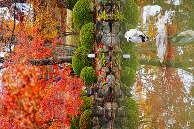 洛中 東寺_京都