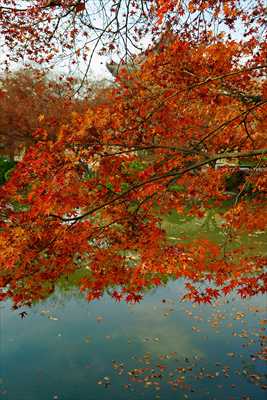 1141_洛中 東寺_京都