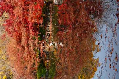 1147_洛中 東寺_京都