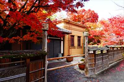 1157_洛東 そば茶寮 澤正_京都