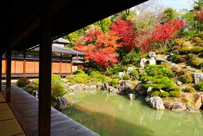 1058_洛東 智積院_京都