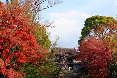 1165_洛東 大谷本廟_京都