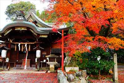 1215_洛東 粟田神社_京都