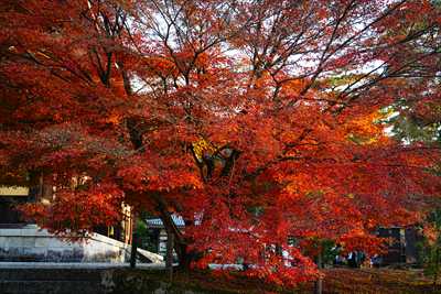 1015_洛東 南禅寺_京都