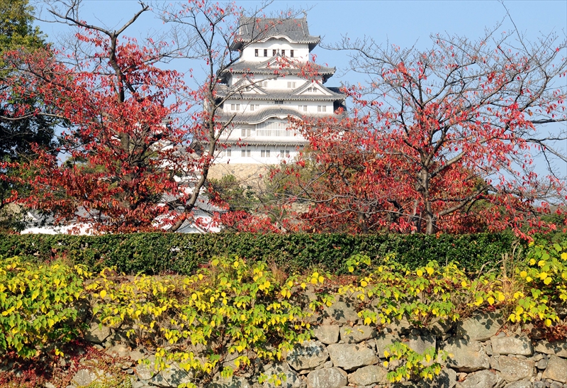 1001_姫路城_兵庫