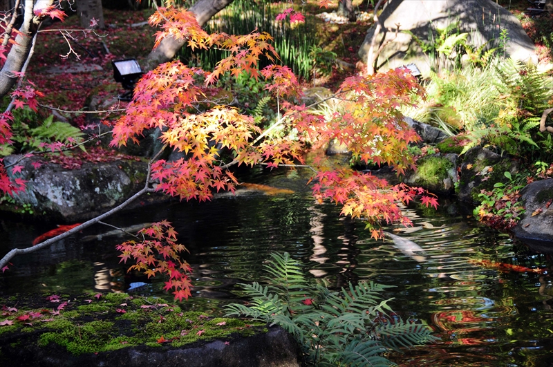 1010_姫路城_兵庫