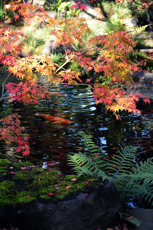 1011_姫路城_兵庫