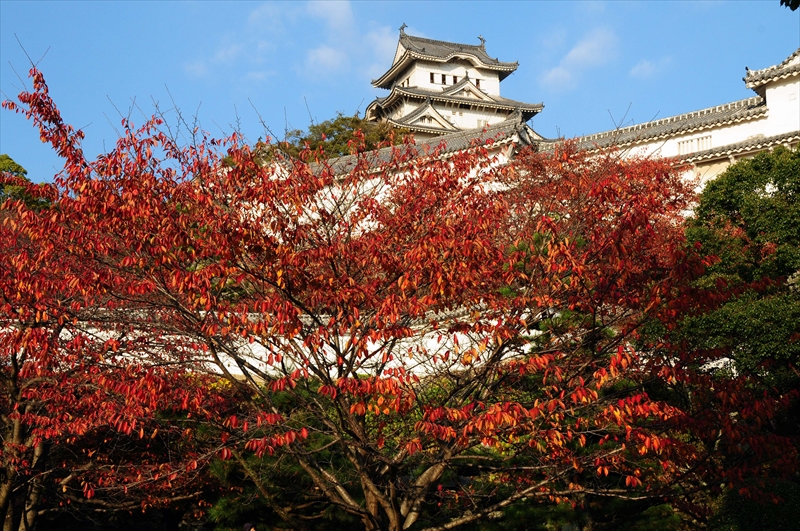 1019_姫路城_兵庫