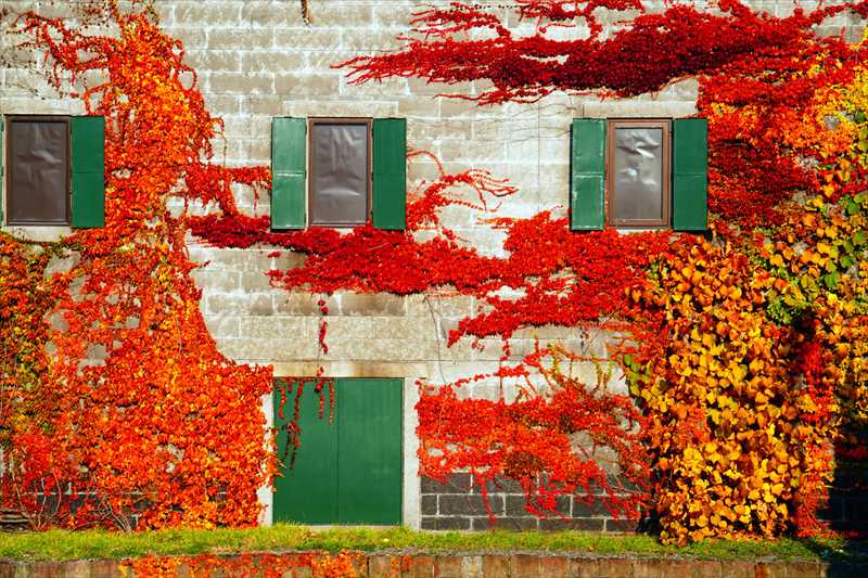 1129_小樽運河_北海道