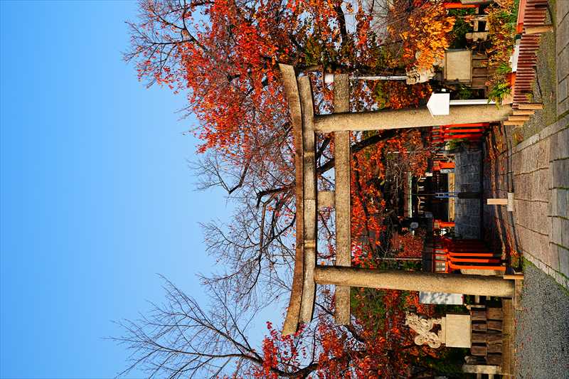 1007_洛中 六孫王神社_京都