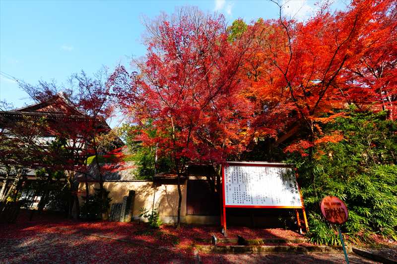 1074_洛東 今熊野観音寺_京都