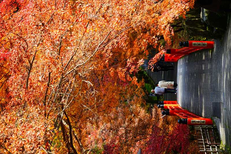 1196_洛東 今熊野観音寺_京都