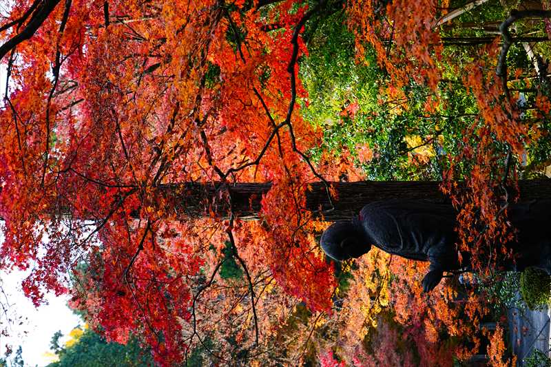 1200_洛東 今熊野観音寺_京都