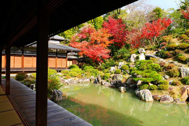 1058_洛東 智積院_京都