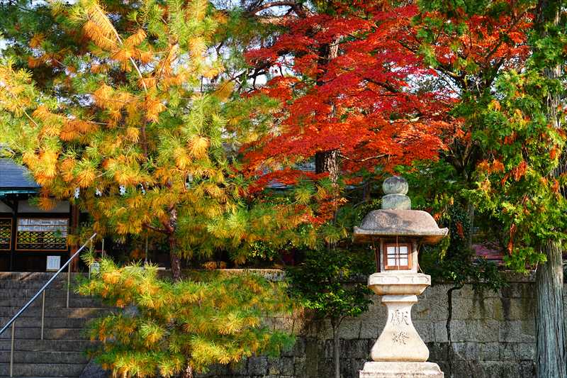 1158_洛東 大谷本廟_京都