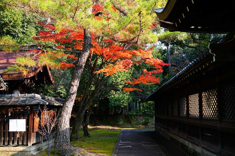 1161_洛東 大谷本廟_京都