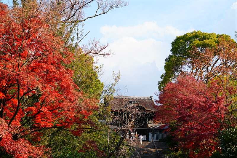 1165_洛東 大谷本廟_京都