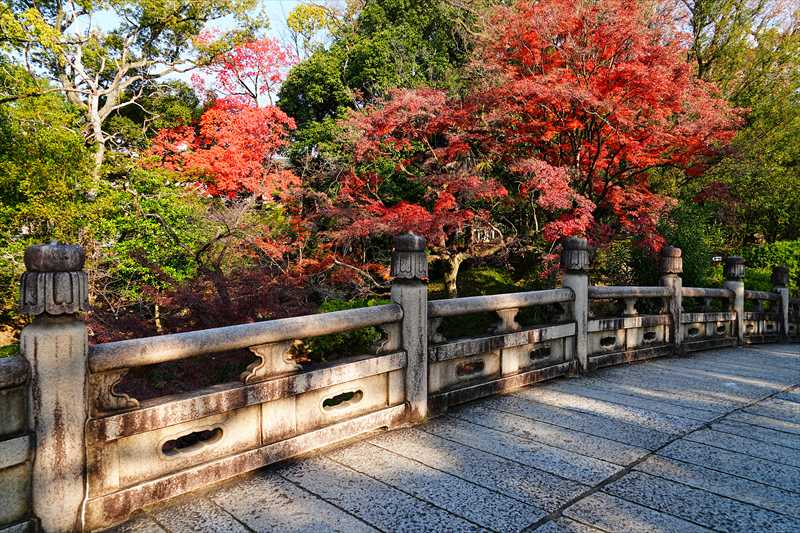 1166_洛東 大谷本廟_京都