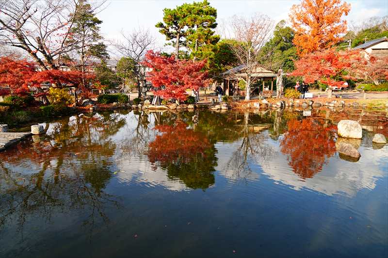 1254_洛東 円山公園ひょうたん池_京都