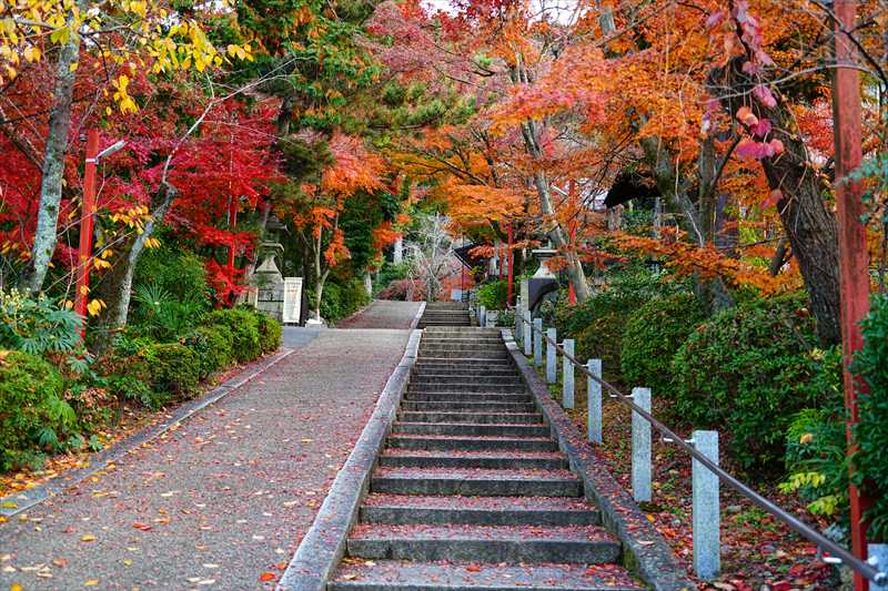1212_洛東 粟田神社_京都