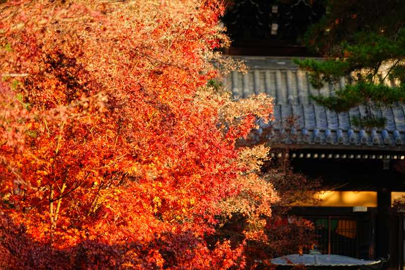 1004_洛東 南禅寺_京都