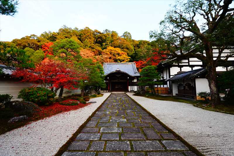 1013_洛東 南禅寺_京都